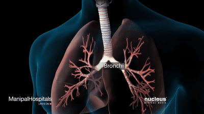 Predicting Pneumonia Outcomes: Deep Learning and Traditional Methods